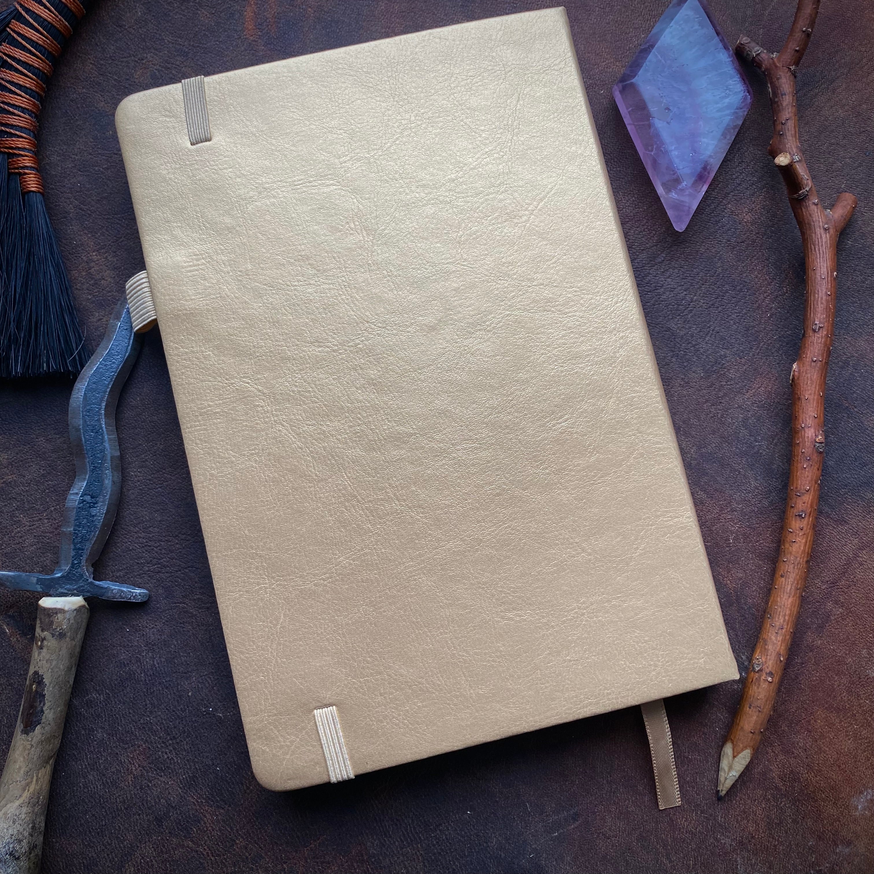 Winter Woodlands journal