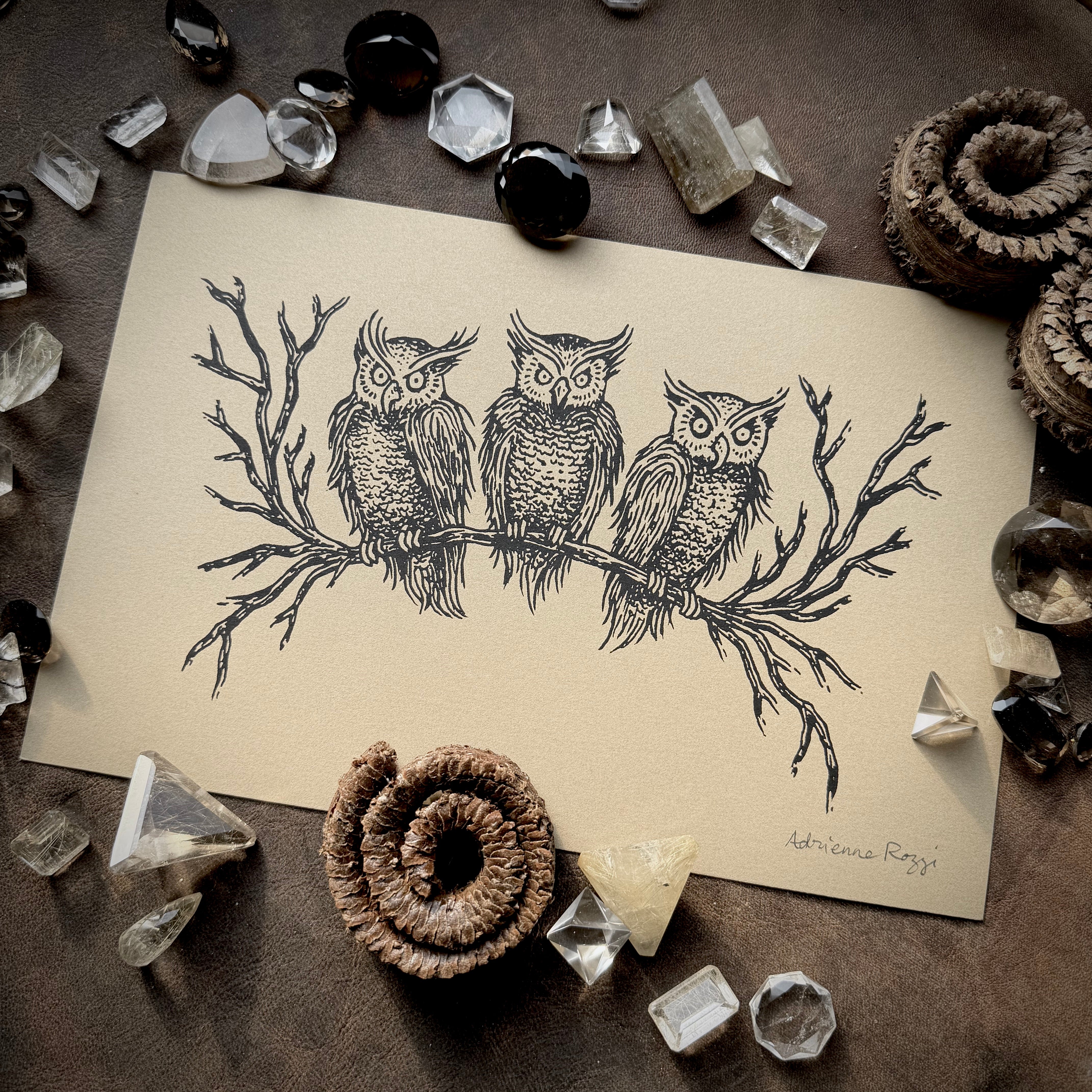 Birds of Night screen print