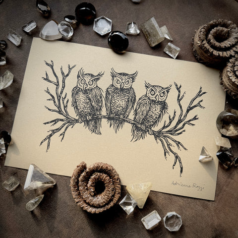 Birds of Night screen print