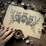 Birds of Night screen print