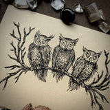 Birds of Night screen print