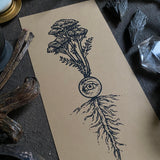 Yarrow's Eye screen print