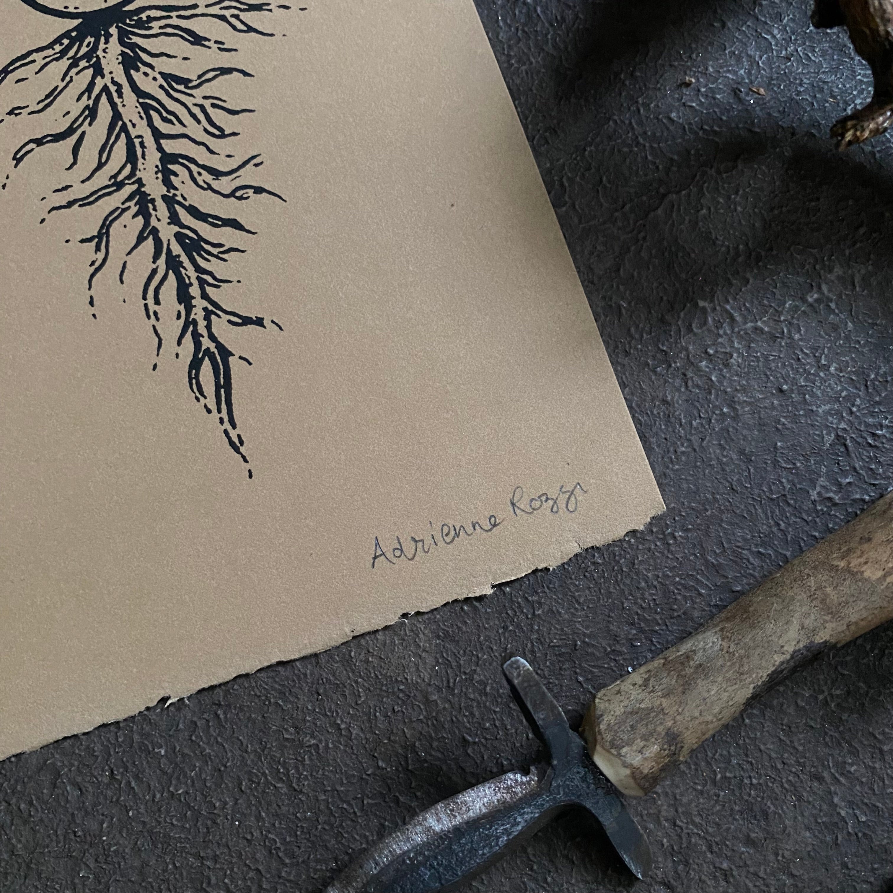Yarrow's Eye screen print