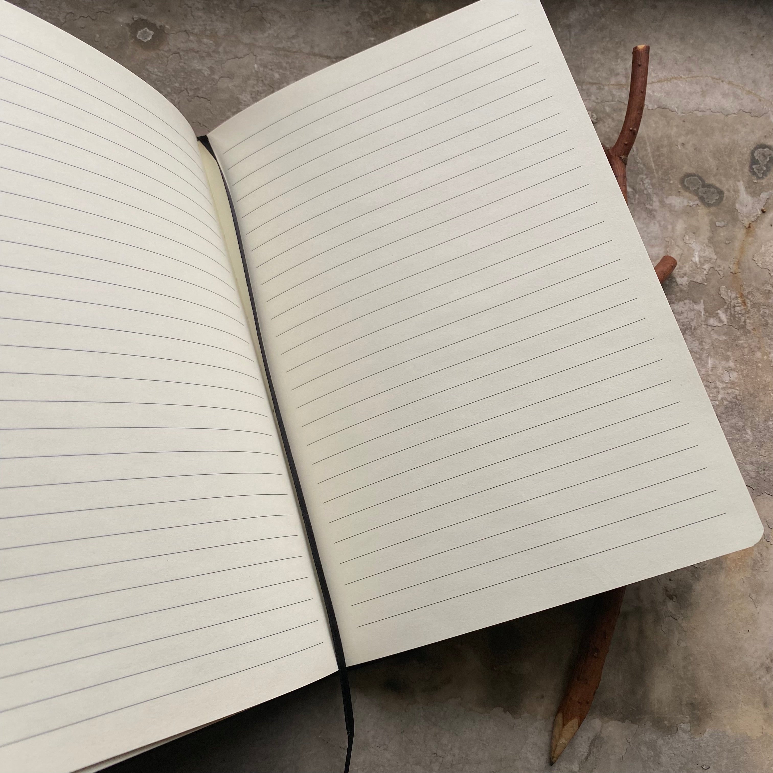 Death Diamond journal with metallic ink, various colors